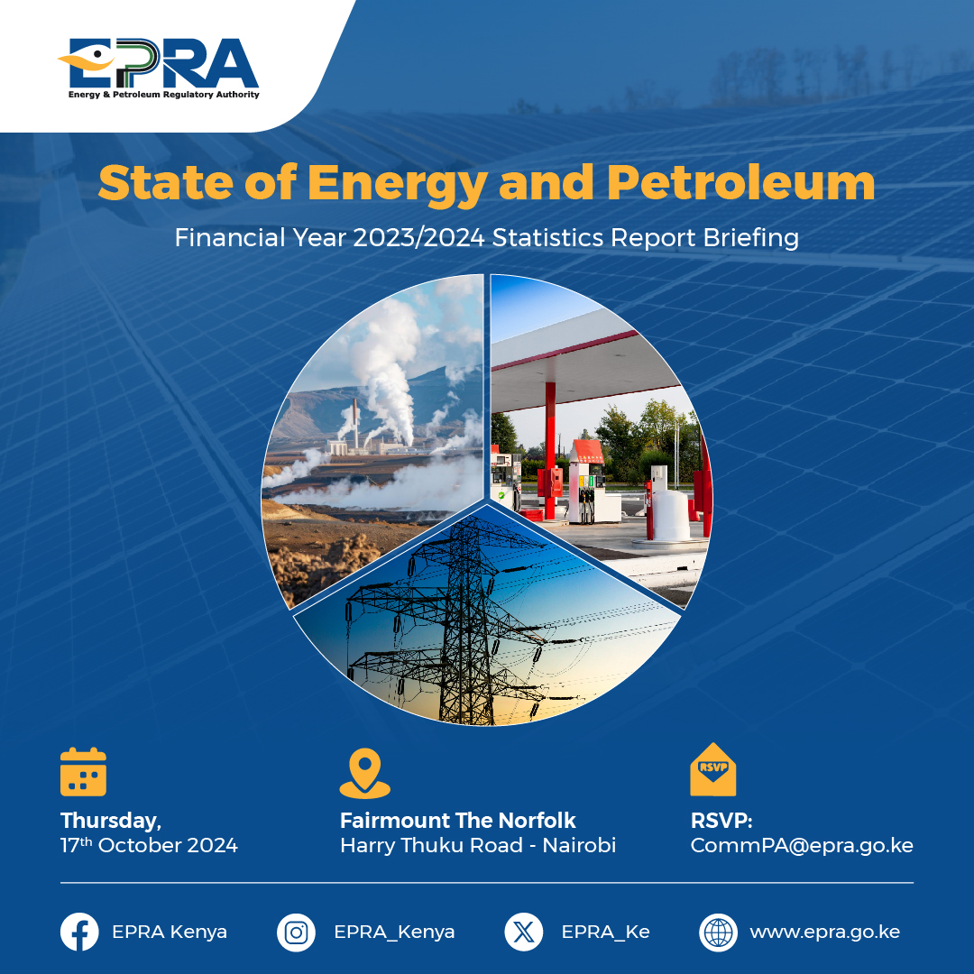 EPRA STATISTICS REPORT 2024